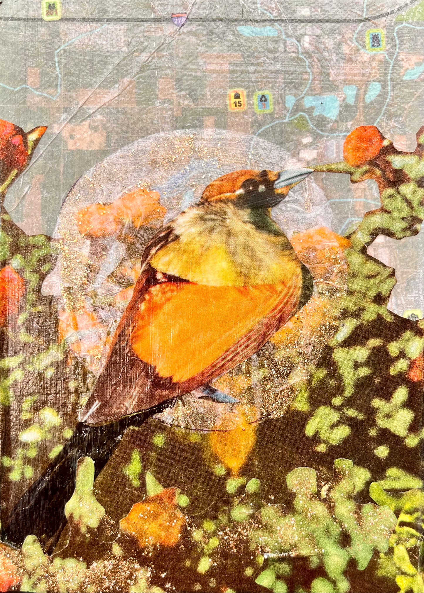 Study 136