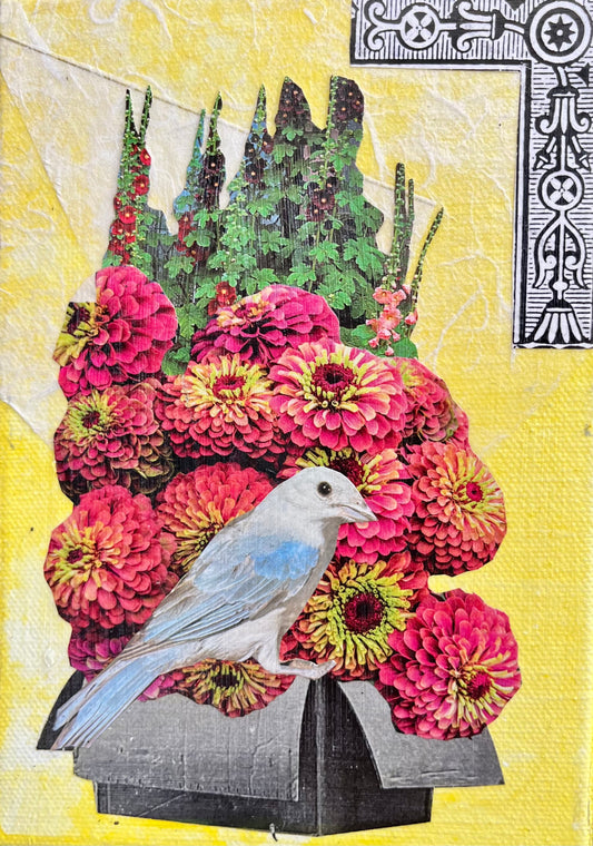 Study 74
